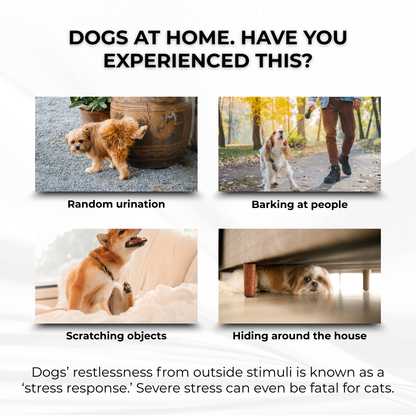 Wag N Tag Dog Calming Diffuser