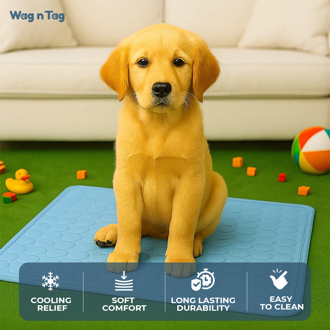 Wag N Tag Breathable Pet Cooling Mat