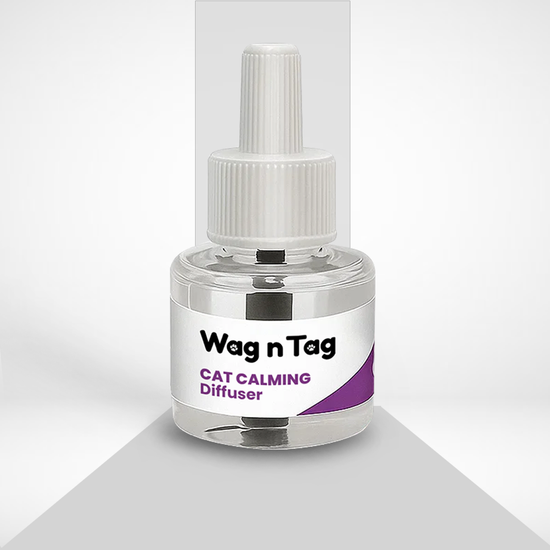 Wellnex Smart Ring