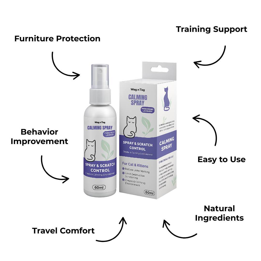 3 Ways Our Calming Spray Transforms Your Pet’s Life